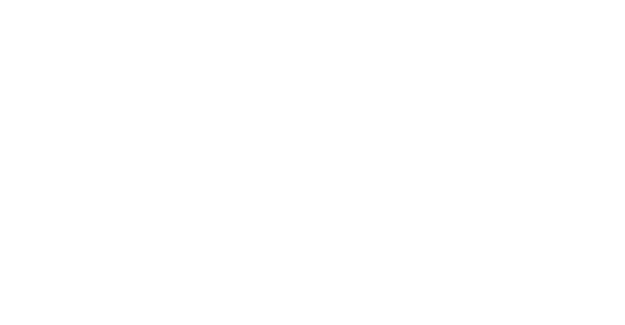 Datavideo