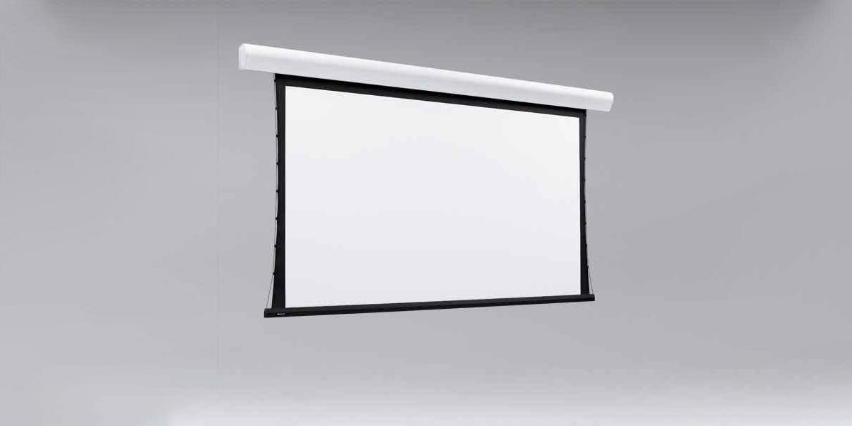 Draper Projection Screen 